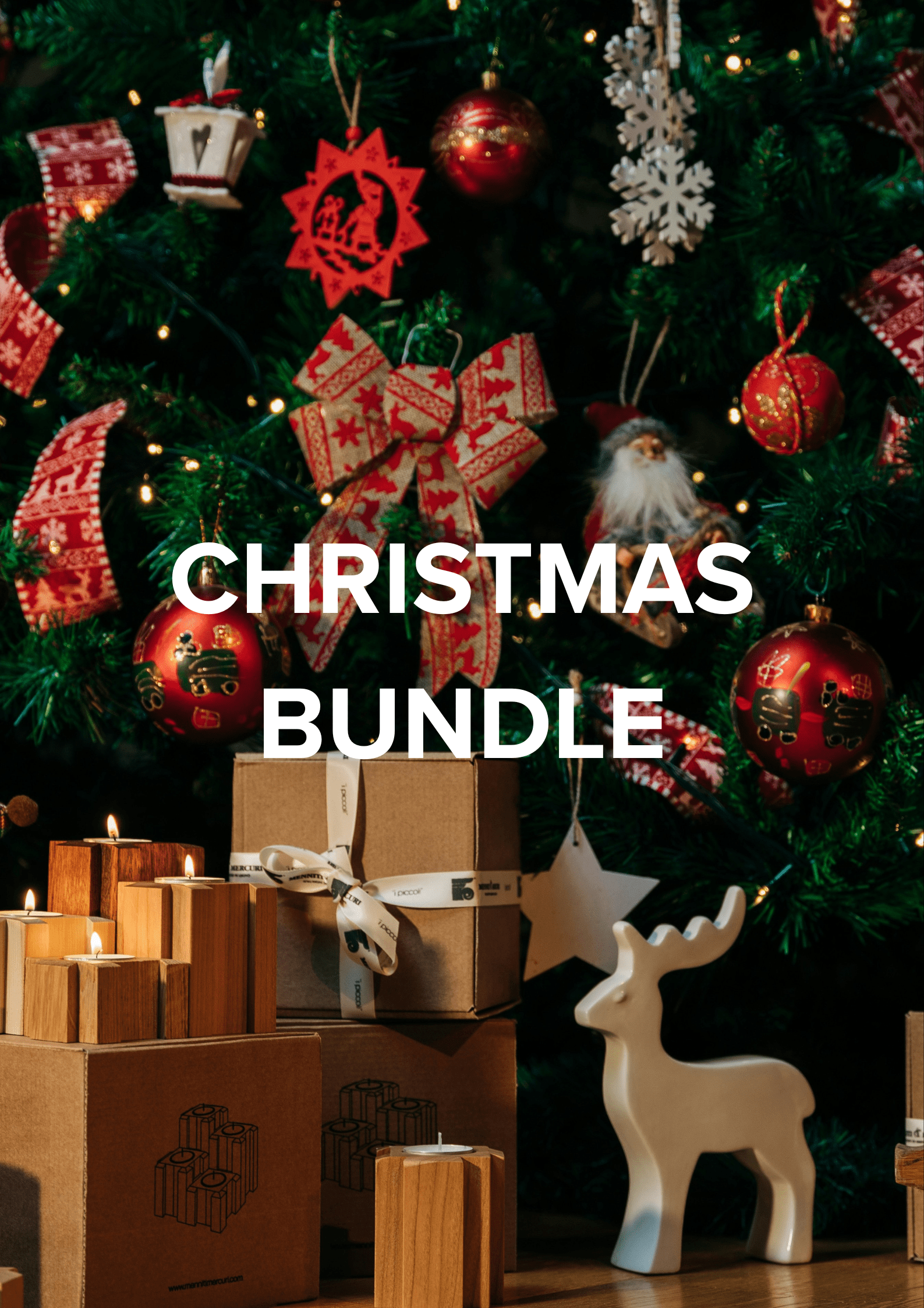 Christmas bundle